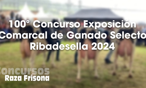 100 Concurso Exposicin Comarcal de Ganado Selecto de Ribadesella 2024
