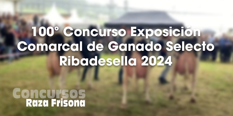 100 Concurso Exposicin Comarcal de Ganado Selecto de Ribadesella 2024