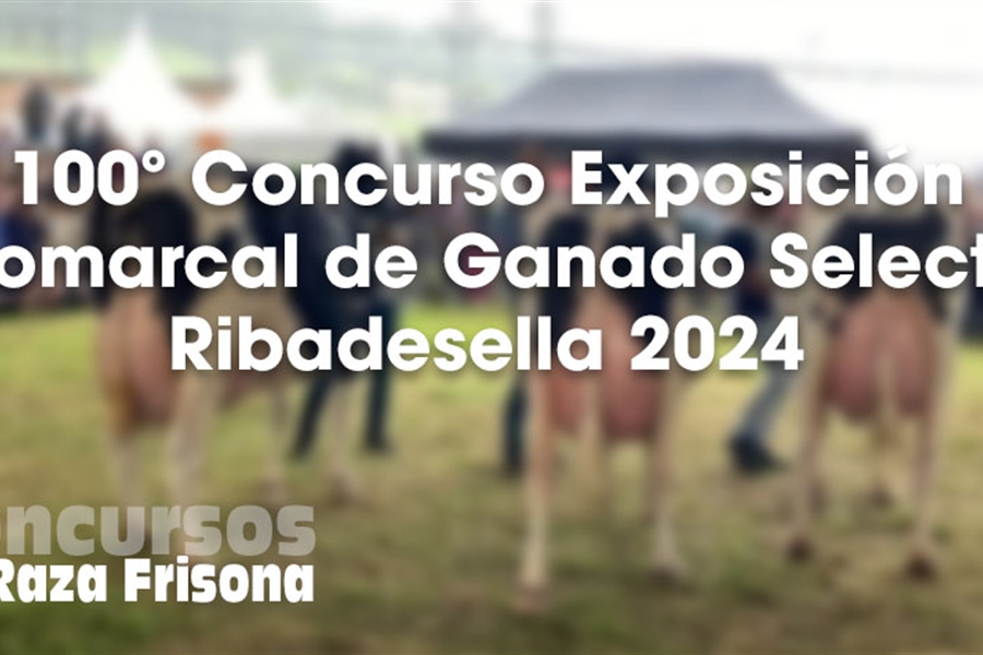 100 Concurso Exposicin Comarcal de Ganado Selecto de Ribadesella 2024