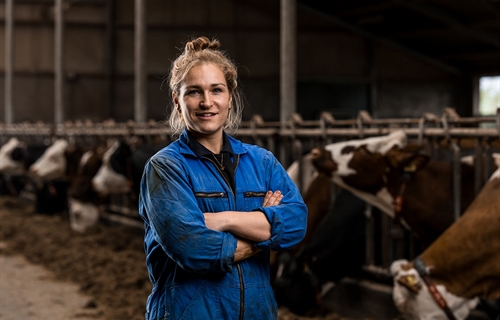 Iris van den Berg: "En caso de duda, la vaca va al potro lo antes posible"