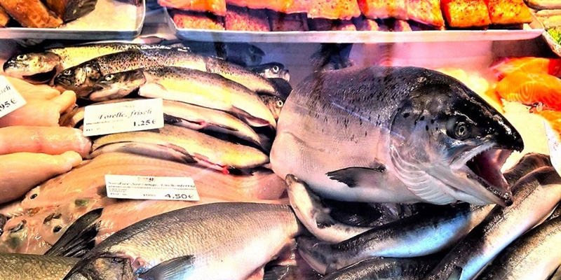 #RealidadGanadera: El 8,3 por ciento de la poblacin europea no puede permitirse una alimentacin adecuada