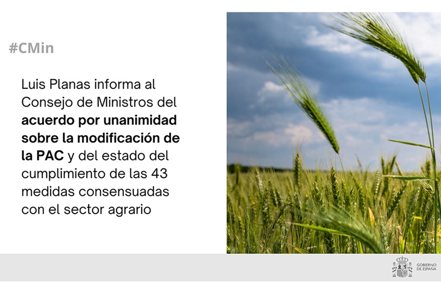 Luis Planas informa al Consejo de Ministros del acuerdo por unanimidad...