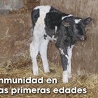 Inmunidad en las primeras edades
