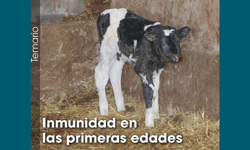 Inmunidad en las primeras edades