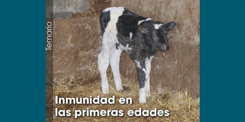 Inmunidad en las primeras edades