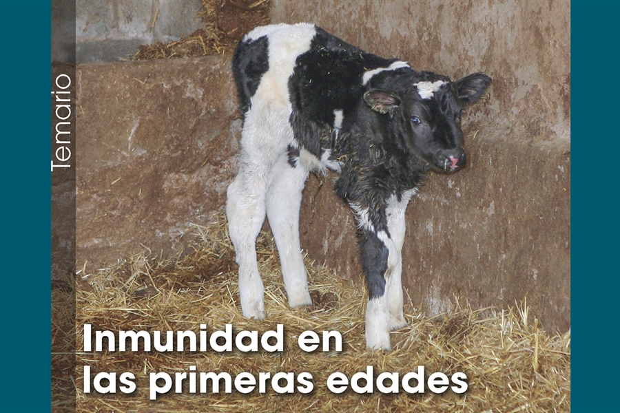 Inmunidad en las primeras edades
