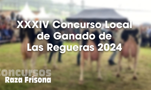 XXXIV Concurso Local de Ganados de Las Regueras 2024