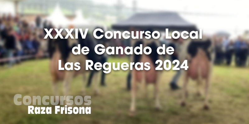 XXXIV Concurso Local de Ganados de Las Regueras 2024