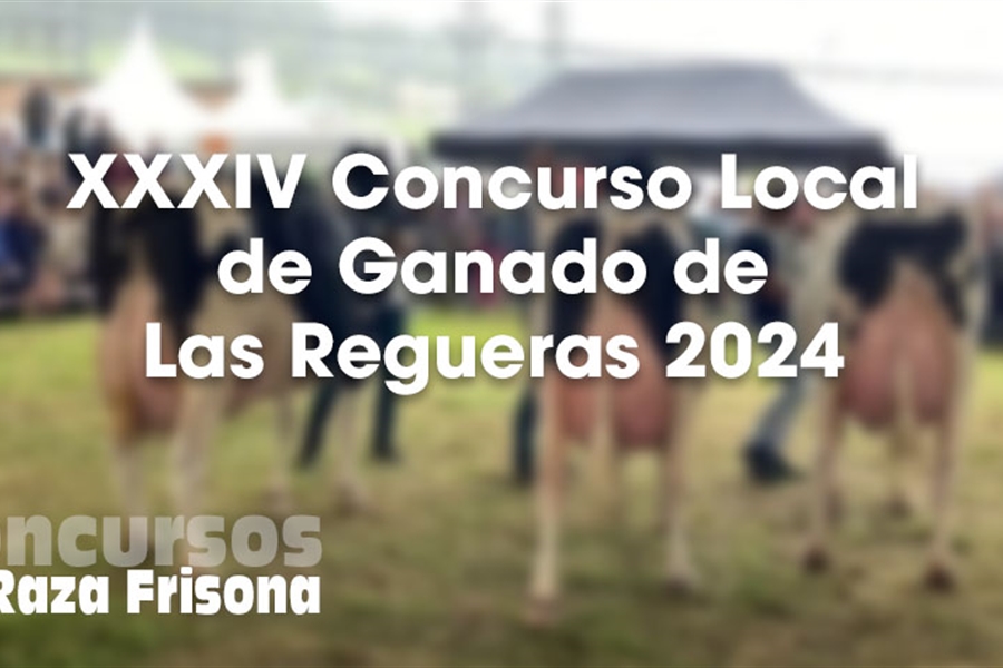 XXXIV Concurso Local de Ganados de Las Regueras 2024