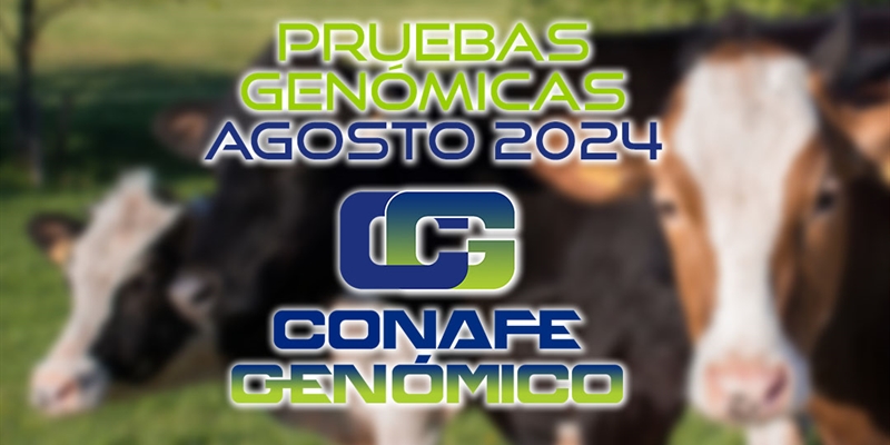 Actualizacin de las pruebas genmicas de Hembras CONAFE Agosto 2024