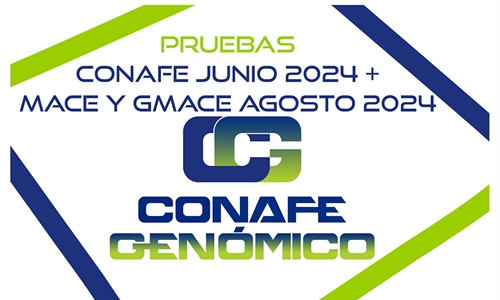 Nuevas pruebas CONAFE Junio 2024 + MACE y GMACE Agosto 2024