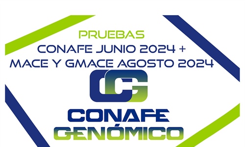 Nuevas pruebas CONAFE Junio 2024 + MACE y GMACE Agosto 2024