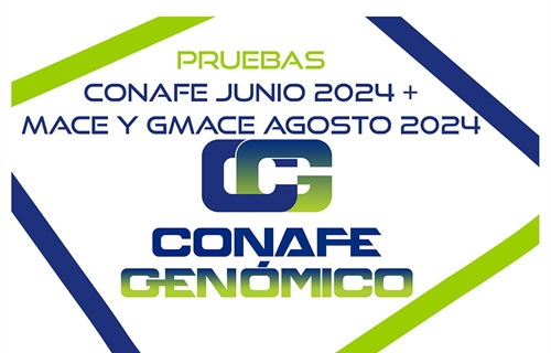 Nuevas pruebas CONAFE Junio 2024 + MACE y GMACE Agosto 2024