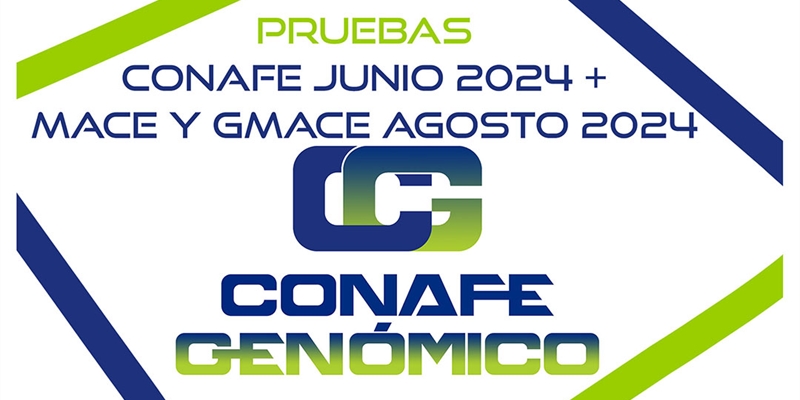 Nuevas pruebas CONAFE Junio 2024 + MACE y GMACE Agosto 2024