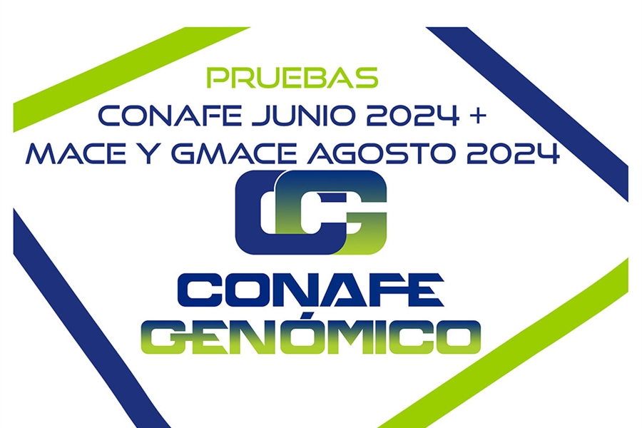 Nuevas pruebas CONAFE Junio 2024 + MACE y GMACE Agosto 2024