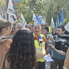 Unin de Uniones reclama medidas para proteger a los ganaderos de los ataques del lobo