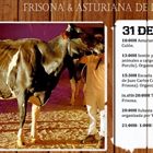 Ya est disponible el programa del 33 Concurso de la Raza Frisona de Tineo 2024