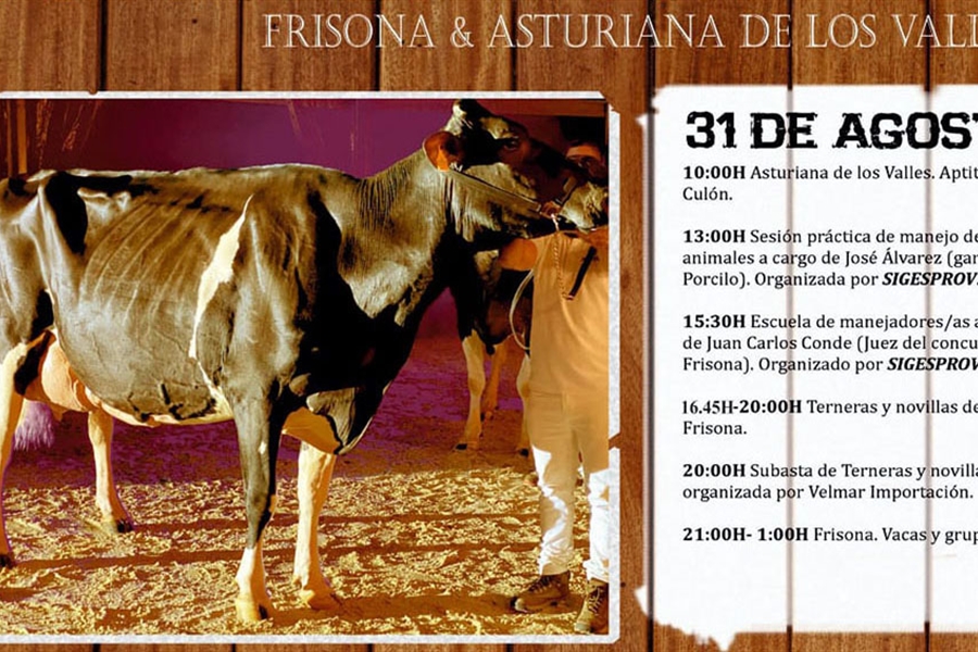 Ya est disponible el programa del 33 Concurso de la Raza Frisona de...