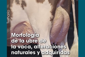 Morfologa de la ubre de la vaca, alteraciones naturales y adquiridas