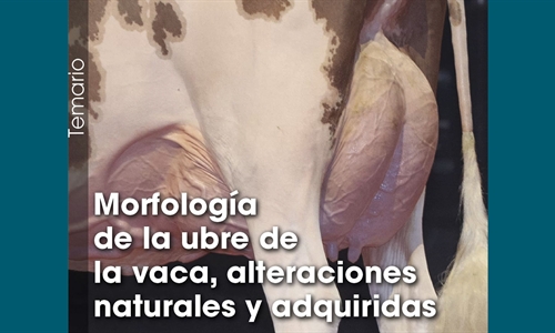Morfologa de la ubre de la vaca, alteraciones naturales y adquiridas