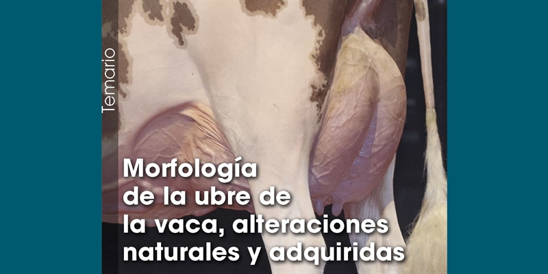 Morfologa de la ubre de la vaca, alteraciones naturales y adquiridas