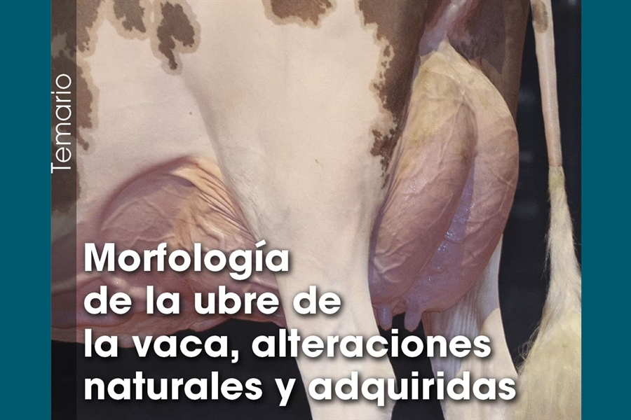 Morfologa de la ubre de la vaca, alteraciones naturales y adquiridas