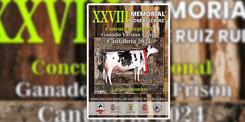 18 ganaderas y 134 animales disputarn el Concurso Regional de Ganado Vacuno Frisn de Cantabria 2024