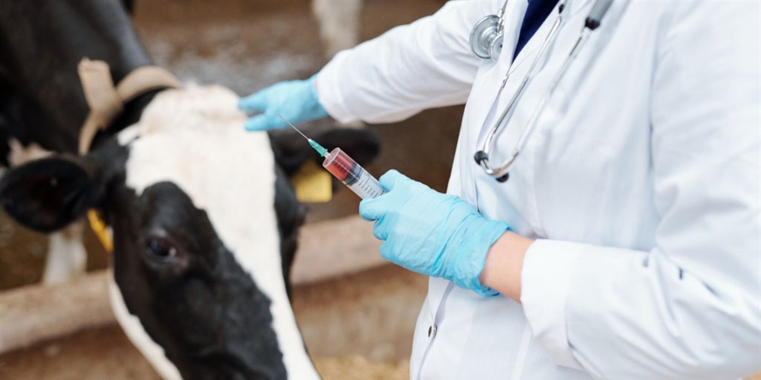 El Consejo General de Colegios Veterinarios pide que las...
