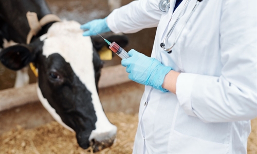 El Consejo General de Colegios Veterinarios pide que las...
