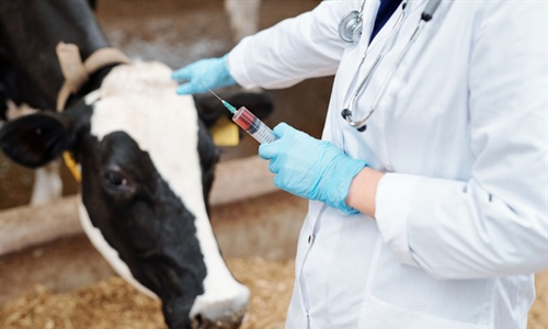 El Consejo General de Colegios Veterinarios pide que las...