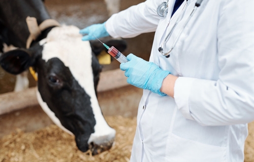 El Consejo General de Colegios Veterinarios pide que las...