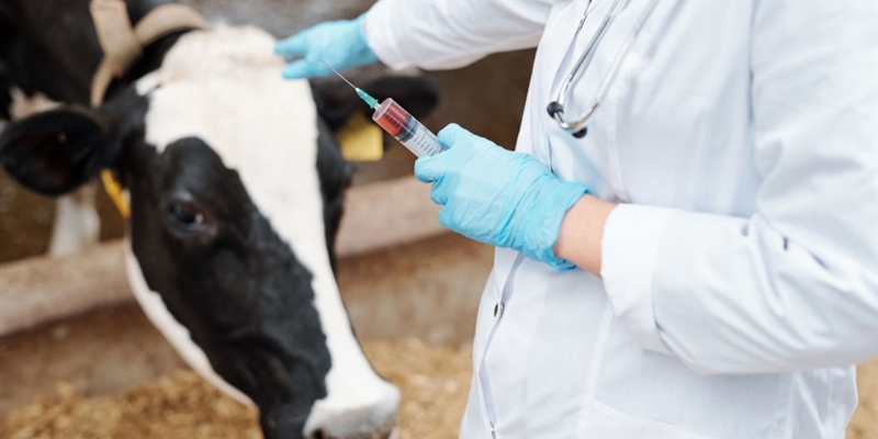 El Consejo General de Colegios Veterinarios pide que las administraciones apoyen econmicamente con la vacuna de la EHE