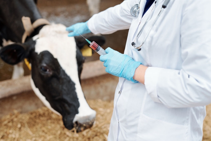 El Consejo General de Colegios Veterinarios pide que las...