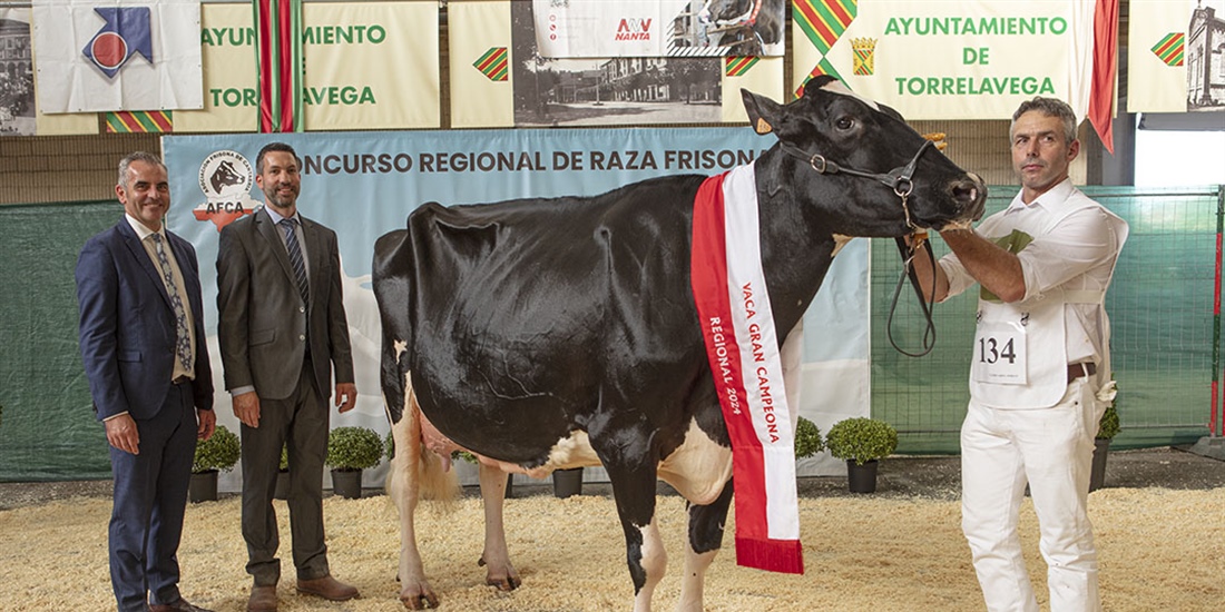 Llinde Ariel Jordan (SAT Ceceo) se proclama Vaca Gran Campeona de...