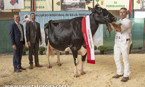 Llinde Ariel Jordan (SAT Ceceo) se proclama Vaca Gran Campeona de...