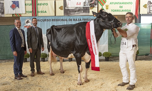 Llinde Ariel Jordan (SAT Ceceo) se proclama Vaca Gran Campeona de...