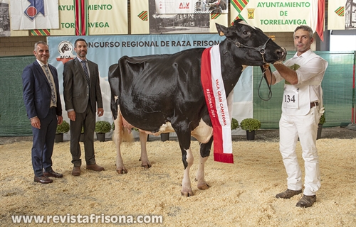 Llinde Ariel Jordan (SAT Ceceo) se proclama Vaca Gran Campeona de...