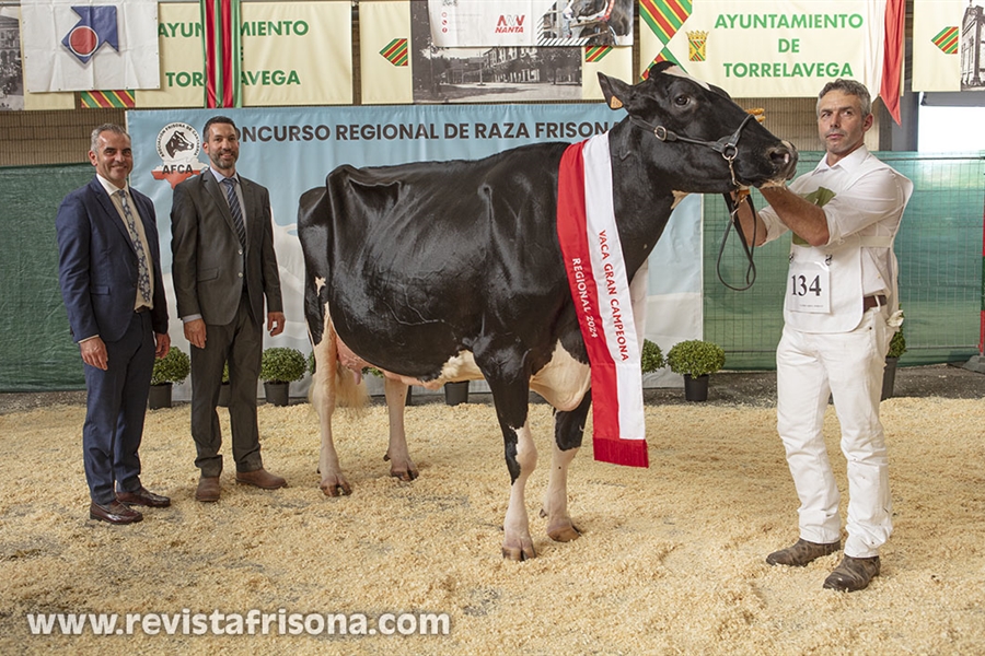 Llinde Ariel Jordan (SAT Ceceo) se proclama Vaca Gran Campeona de...