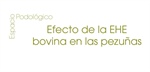 Efecto de la EHE bovina en las pezuas