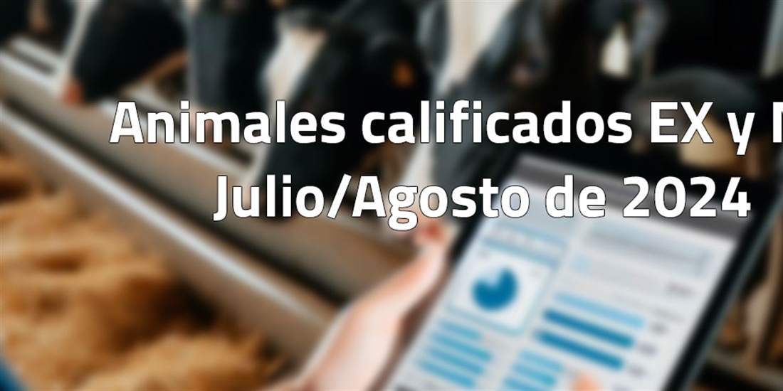 Animales calificados EX y MB en julio y agosto de 2024