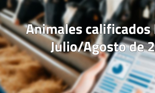 Animales calificados EX y MB en julio y agosto de 2024