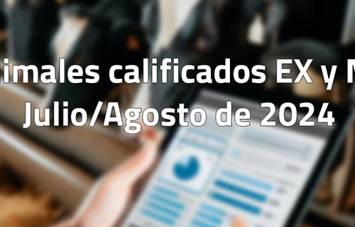 Animales calificados EX y MB en julio y agosto de 2024