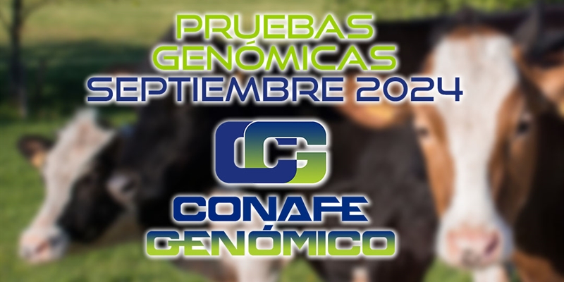 Actualizacin de las pruebas genmicas de Hembras CONAFE Septiembre 2024