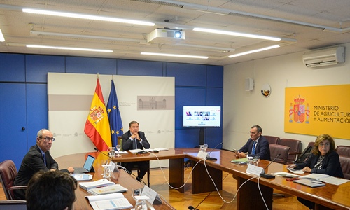 El Gobierno autoriza la compra de vacunas contra la lengua azul y...