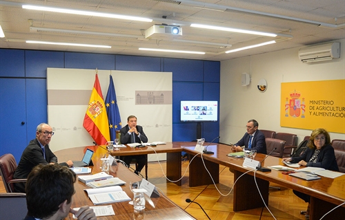 El Gobierno autoriza la compra de vacunas contra la lengua azul y...