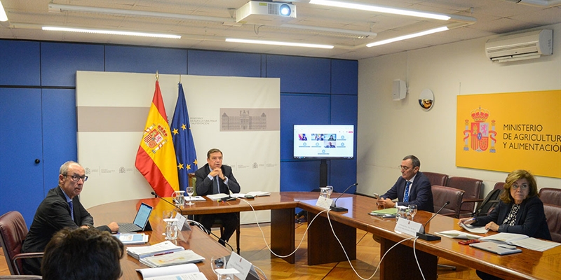 El Gobierno autoriza la compra de vacunas contra la lengua azul y aprueba ayudas para preservar la sanidad animal