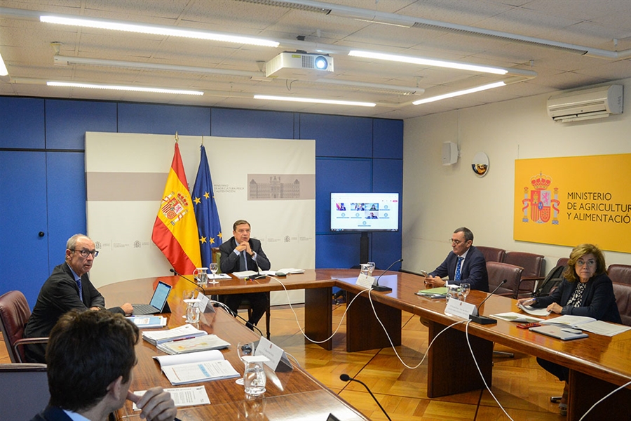 El Gobierno autoriza la compra de vacunas contra la lengua azul y...