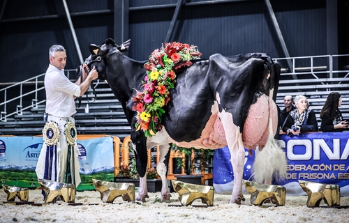 Llinde Ariel Jordan (SAT Ceceo) gana por quinta vez consecutiva el...
