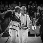 Fotos de las secciones de Vacas en lactacin