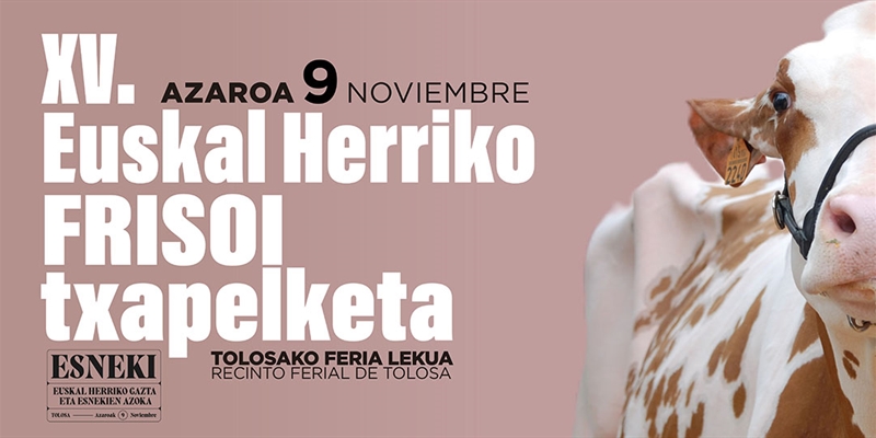 XV Concurso de Ganado Frisn de Euskal Herria 2024